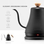 Bodum Melior Gooseneck Electric Kettle, Matte Black
