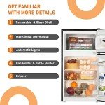 Frestec 3.1 CU' Mini Fridge with Freezer