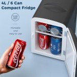 Portable Mini Fridge for Skin Care and Beverages