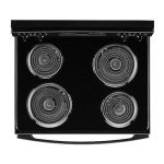 Amana 30" 4.8 cu. ft. Black Electric Range