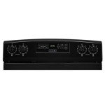Amana 30" 4.8 cu. ft. Black Electric Range