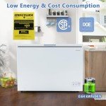COSTWAY 10 Cu.Ft. Adjustable Temperature Chest Freezer