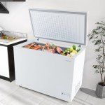 COSTWAY 10 Cu.Ft. Adjustable Temperature Chest Freezer