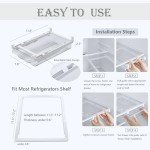 Clear Refrigerator Organizer Bins for Eggs
