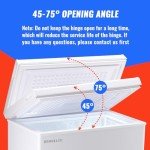 DEMU LLER 5.0 CU.FT Top Open Chest Freezer
