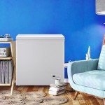 DEMU LLER 5.0 CU.FT Top Open Chest Freezer