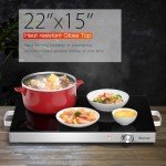 COSTWAY Adjustable Electric Food Warming Tray 25" x 15