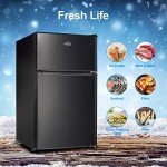 Walsh 3.1 Cu.Ft Compact Dual Door Refrigerator