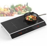 24-Inch Double Induction Cooktop with Touch Control