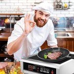 Single Burner 3500W Induction Cooktop for Restaurants