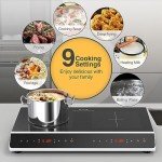 24-Inch Double Induction Cooktop with Touch Control