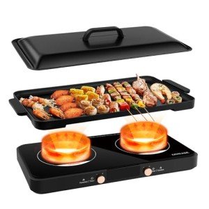 ONNASE Dual Burner Portable Induction Cooktop