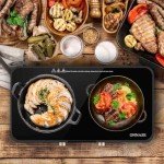 ONNASE Dual Burner Portable Induction Cooktop