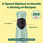 Bella Portable Immersion Blender with Whisk Attachment
