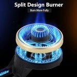 BesNerg Portable Two-Burner Propane Stove