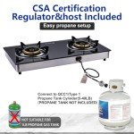 BesNerg Portable Two-Burner Propane Stove