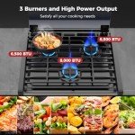 Camplux 17-Inch RV Gas Range with 3 Burners