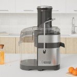 Hamilton Beach Professional Juicer with Super Chute