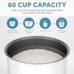 Aroma 60-Cup Commercial Rice Cooker, Stainless Steel