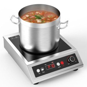 PAYISHO Commercial Induction Cooktop 1800W with Timer