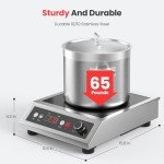 PAYISHO Commercial Induction Cooktop 1800W with Timer