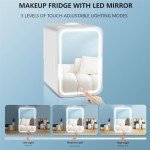 ELECWISH 8L Mini Skincare and Makeup Fridge
