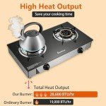 Portable 2 Burner Propane Stove for Camping