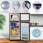 Anukis 3.8 Cu Ft Mini Fridge with Freezer
