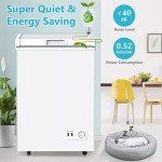 LifePlus 3.5 Cu Ft Compact Chest Freezer