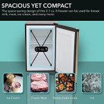 Whynter 2.1 cu.ft Energy Star Upright Freezer - Rose Gold