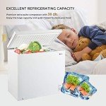 KEG 7.0 cu ft Chest Freezer with Thermostat