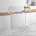 KEG 7.0 cu ft Chest Freezer with Thermostat