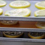 Silicone Tray Mats for Harvest Right Freeze Dryer