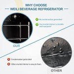 Weili 20-Inch Beverage Refrigerator with Lock, 120 Can