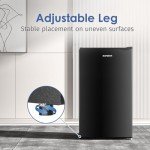 BANGSON Energy Efficient Mini Fridge with Freezer