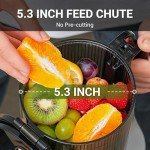AMZCHEF Self-Feeding Masticating Juicer Machine
