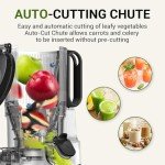 AMZCHEF Self-Feeding Masticating Juicer Machine