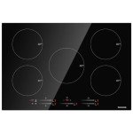 Thermomate 30" Built-In Induction Cooktop 9000W