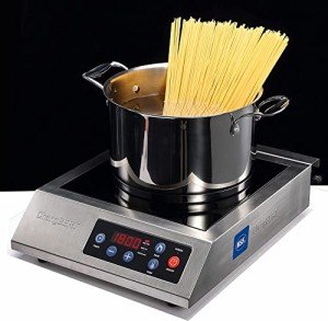 ChangBERT 1800W Portable Induction Cooktop Burner