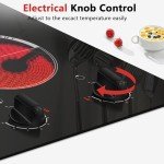 Cooksir 2-Burner Electric Cooktop with Safety Features