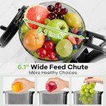6.1" Cold Press Juicer with High Juice Yield