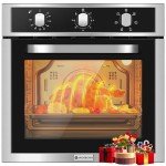 AAOBOSI 24-Inch Convection Electric Wall Oven