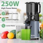 Aeitto Slow Masticating Cold Press Juicer