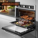 AAOBOSI 24-Inch Convection Electric Wall Oven