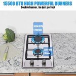 Dual Fuel 2-Burner Propane Gas Stove Top