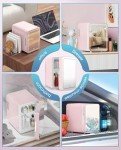 Cute Mini Fridge with Mirror Light for Skin Care