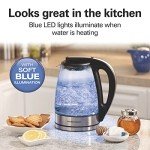 Hamilton Beach Glass Electric Kettle, 1L