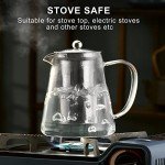 PARACITY 18.6 OZ Glass Teapot with Infuser