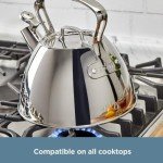All-Clad Stainless Steel Silver Tea Kettle