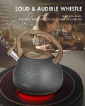 Poliviar 2.7 Quart Stainless Steel Tea Kettle